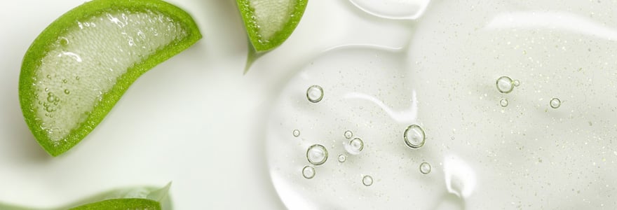 aloe vera